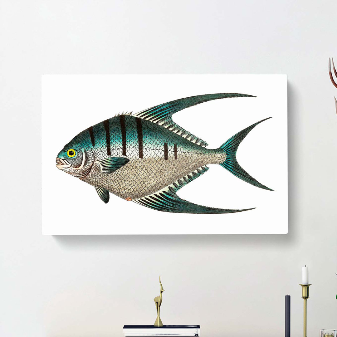 Glaucous Butterflyfish by George Shaw - Wrapped Canvas