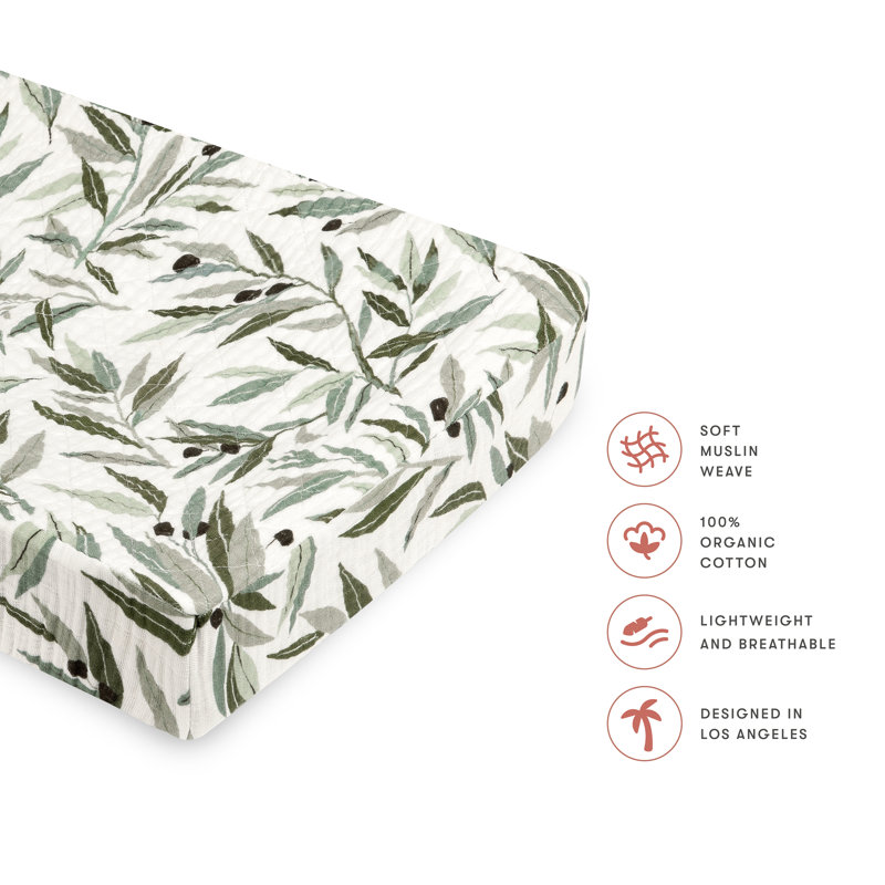 Olive Branches Changing Pad Cover
