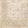 Bogaerts Viscose Oriental Indoor Rug