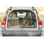 Cage pour animaux Elodie Home On-The-Go-1720757255