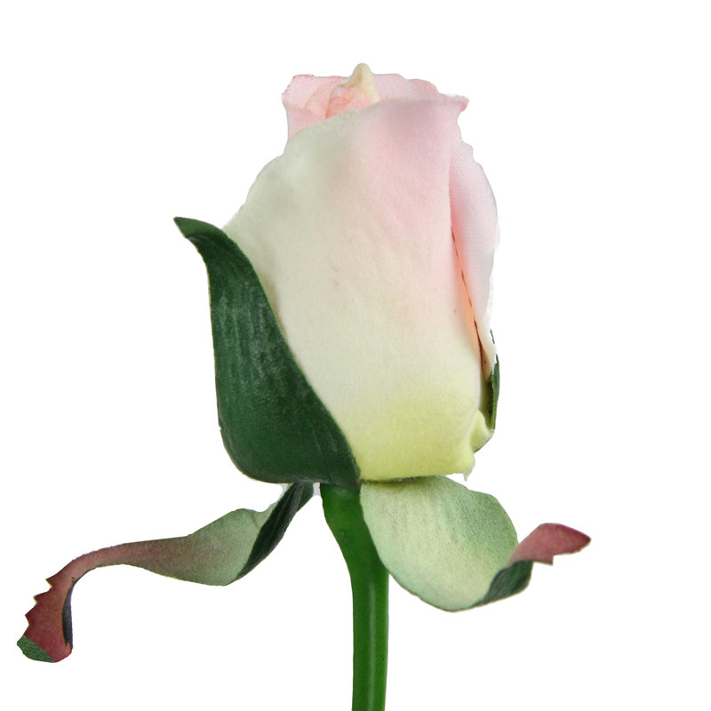 Jets de roses