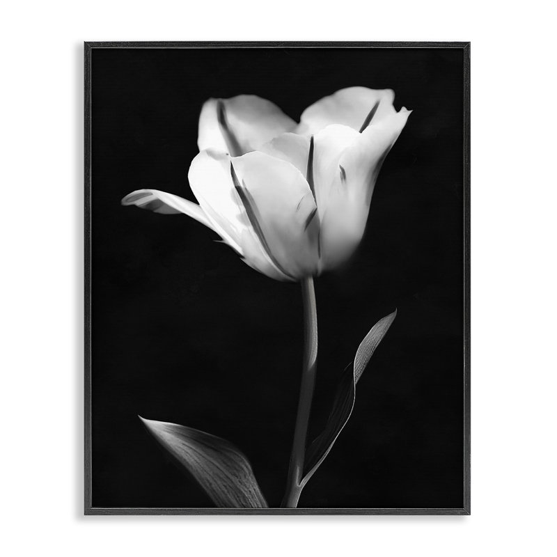 Giclée encadrée de tulipe moderne et moderne, design par CAD Designs, H 20 po x l 16 po, Giclée encadrée noir minuit