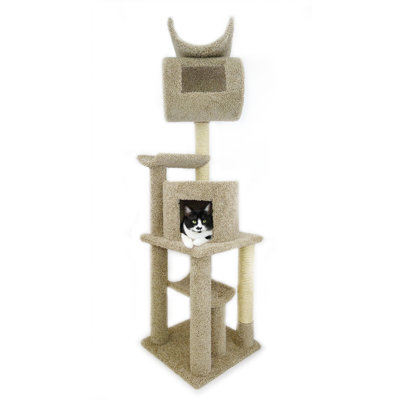 Arbre à chat multi-niveaux New Cat Condos