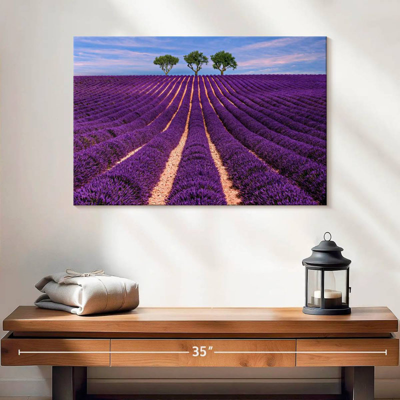Alvord Provence Summer Lavender Rows, 16" H x 24" W