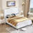 Queen Size Wingback Platform Bed Frame with Tall Headboard-White-1448439381-1441749360