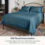 Ensemble de draps 100% coton biologique 100% percale certifié GOTS, ultra doux et soyeux, évacuant l'humidité-101648706-101648710