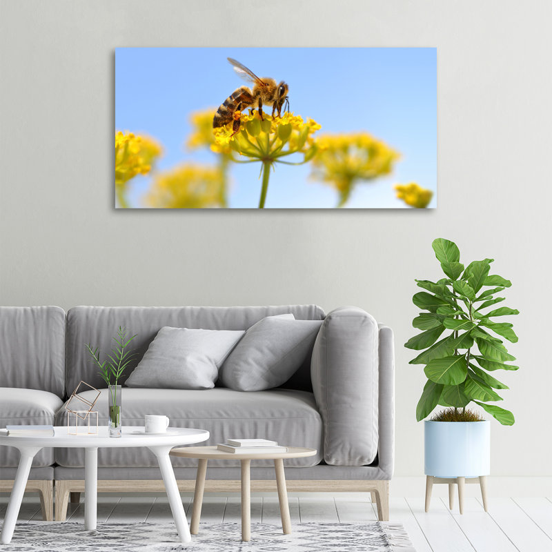 Bee On A Flower - Wrapped Canvas Print, Canvas, 50cm H x 100cm W