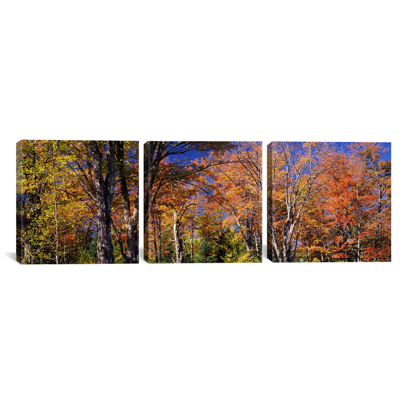 «Trees in Autumn Vermont, USA», ensemble de 3 reproductions de photos sur toiles tendues, H 20 po x l 60 po x P 1,5 po