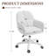Modern Minimalist Swivel Office Chair with Velvet Padding pillow Vanity Swivel Chair Adjustable Height for Home Office, Study, Bedroom-1561474462