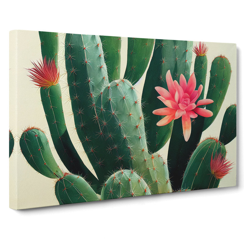 Splendorous Cactus - Wrapped Canvas Print, 35cm H x 50cm W x 3cm D
