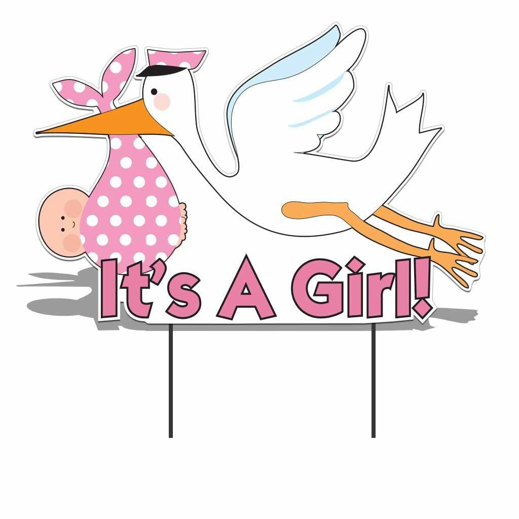It's a Girl Baby Shower Backdrop Girl Watercolor Floral - Etsy Australia