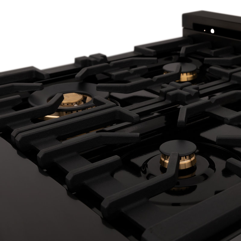 ZLINE 24" Legacy Dual Fuel Range w/ 4 Brass Burners & Oven in Black Stainless Steel