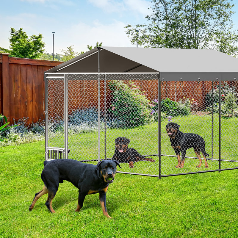 Dog House
