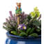 Peter Rabbit mangeant des radis