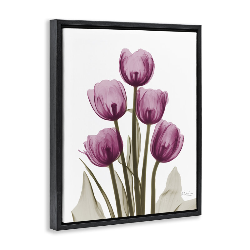 Pink X-Ray Tulips, 17" H x 21" W, Jet Black Floater Frame