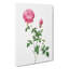 Autumn China Rose In Pink by Pierre-Joseph Redoute - Wrapped Canvas Painting-55367578