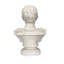 Caesar Primaporta Roman Emperor Bust