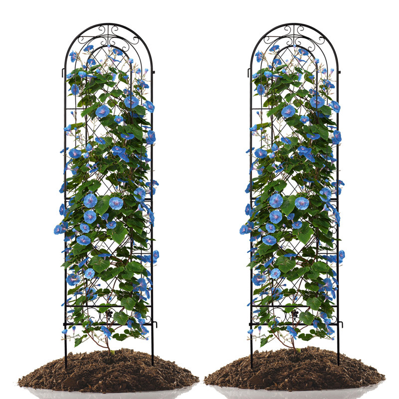 Ensemble de 2 treillis de jardin en fer antirouille 16 po x 61 po