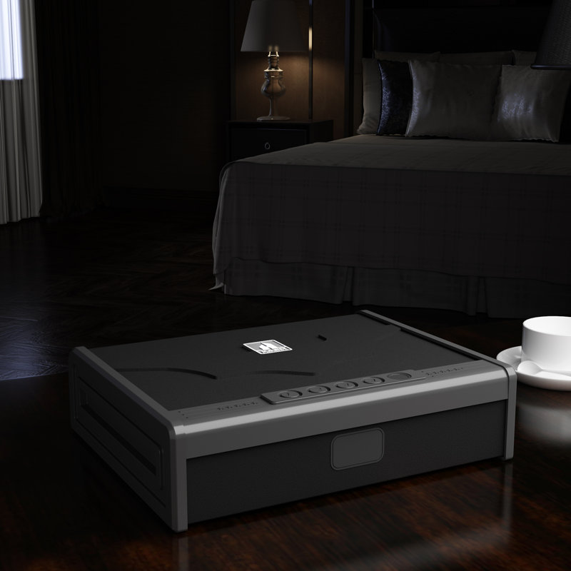 Fast-Access Biometric Pistol Safe with Fingerprint, PIN & Key Entry
