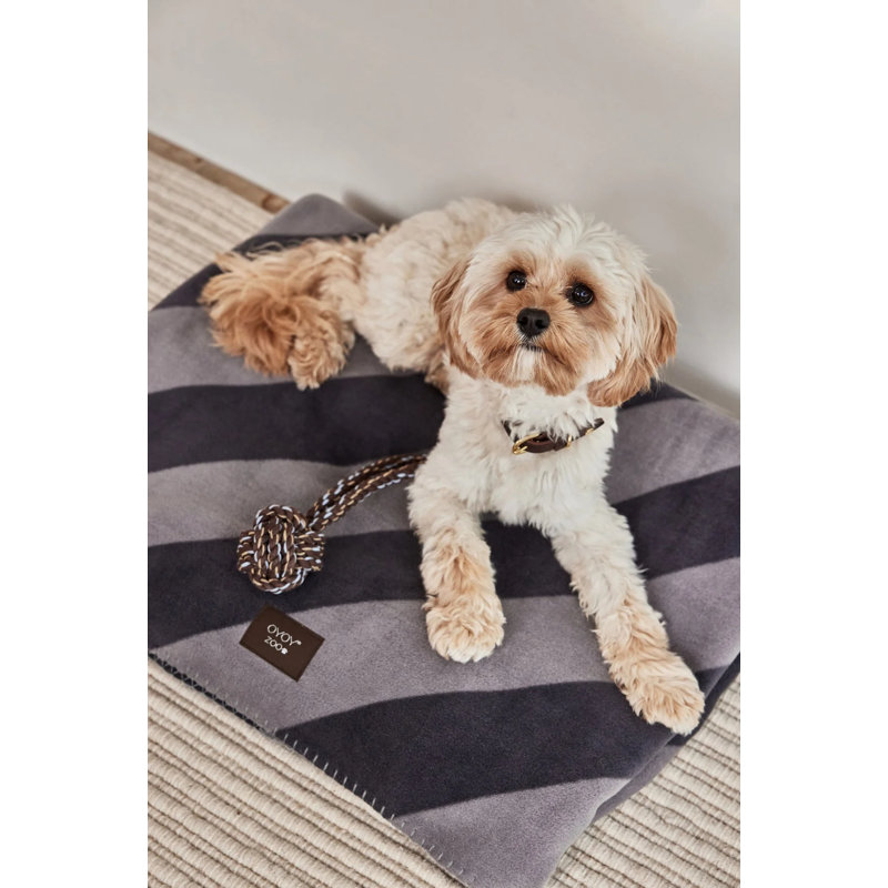 Kaya Dog Blanket - Medium, 31.5" W x 39.37" L, Black