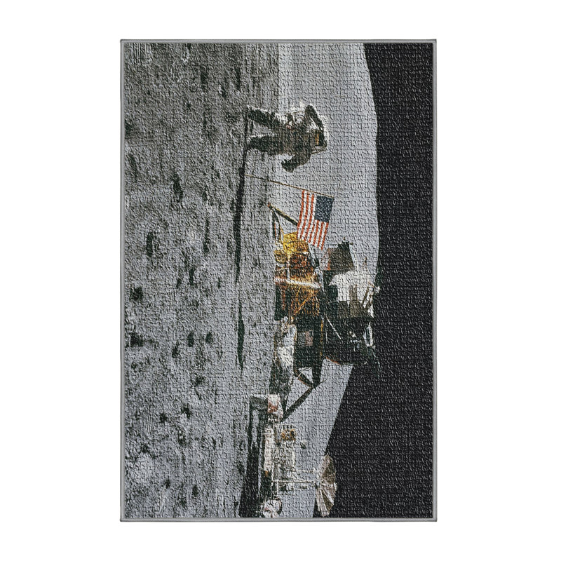 Indoor Rug, Rectangle 4' x 6'
