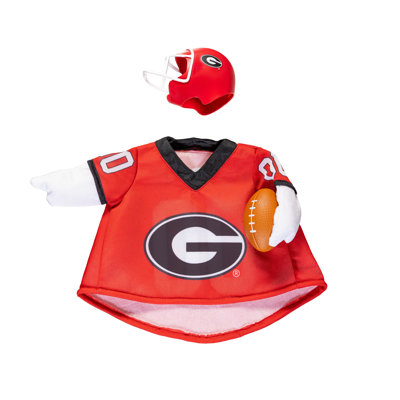 University of Georgia Sports Uniform, Giddy the Porch Goose