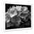 Cadre photo blanc