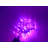 MULTI-FUNCTION TIMED STRING LIGHTS - RGB LEDS W/ REMOTE-50844520
