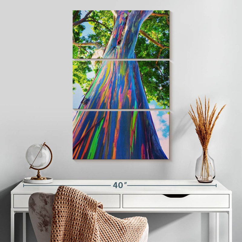 Harnek Oahu Rainbow Eucalyptus Tree, 32" H x 20" W
