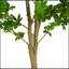 Enkianthus artificiel 76 po avec pot 76 po