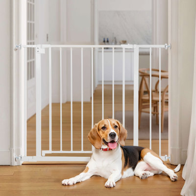 Barrière 30 "de haut pour animaux de compagnie, barrière pour bébés
