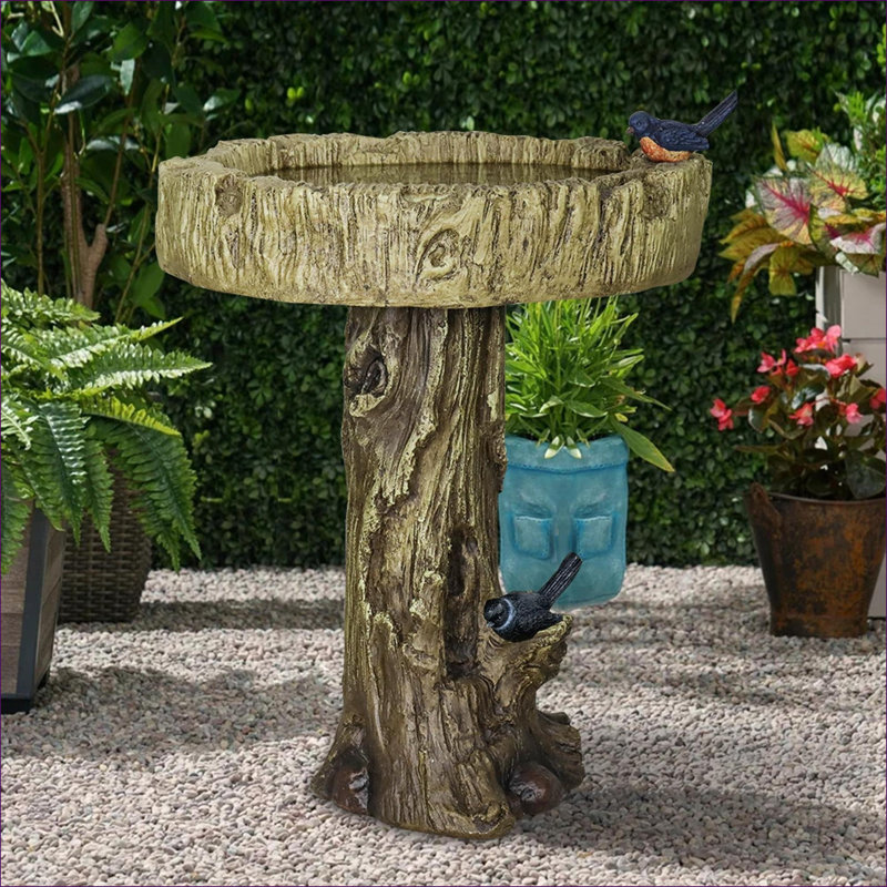 Bains d'oiseaux | Bain d'oiseaux en béton pour l'extérieur Ciment béton | Piédestal à un niveau Birdbath