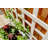 Huron Planter Box with Trellis