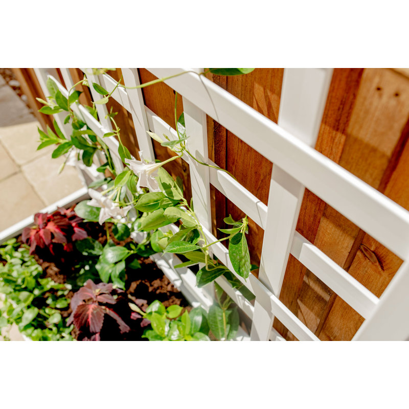 White Vinyl Outdoor Planter Box with Trellis