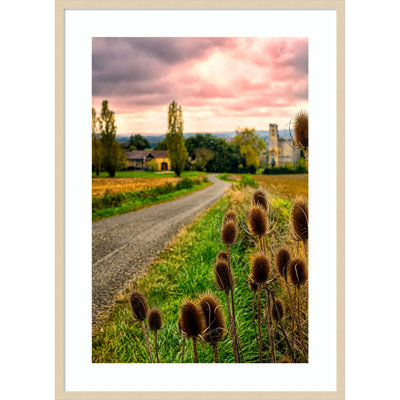 "Chateau Tauzia Thistles" par Wood, reproduction d'art encadrée