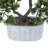 2-pack 14” Faux Bonsai Trees With Real Touch Leaves, In A Modern Geometric Ceramic Vase