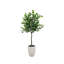 Arbre vert 5 pi dans un pot en céramique blanche-1903920382