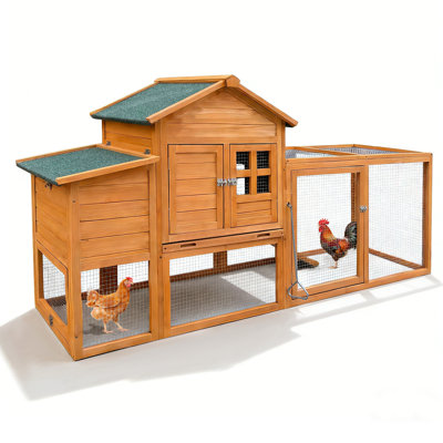 Poulailler de 80 pouces de taille, avec nichoir, plateau amovible, utilisation intérieure et extérieure, verrous à glissière en métal, toit en asphalte incliné de 80 po pour 2 à 4 poulets, livré avec rampe de repos en bois de sapin,