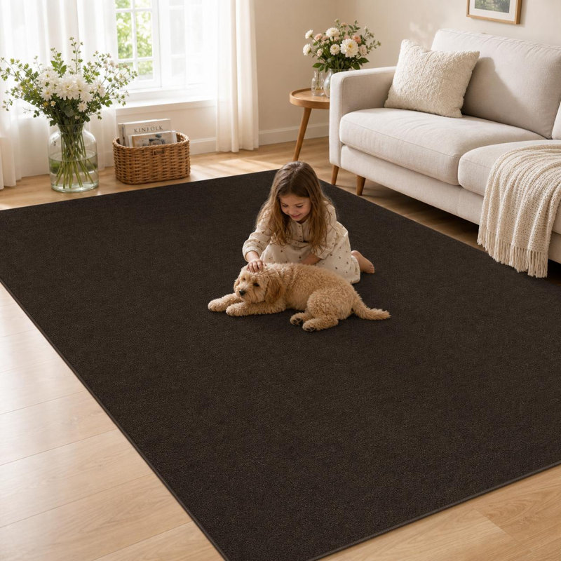Modern Neutral Area Rugs for Living Room Dining Room Bedroom Farmhouse Non Slip Washable Stain Resistant Soft Indoor Carpet Foldable Non-Shedding Low Pile Rug for Farmhouse Home Office Decor