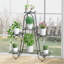 Analecia Plant Stand