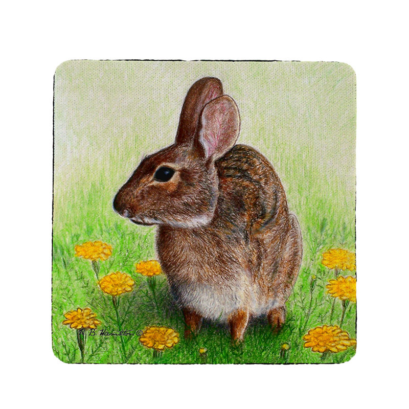 Dessous de lapin