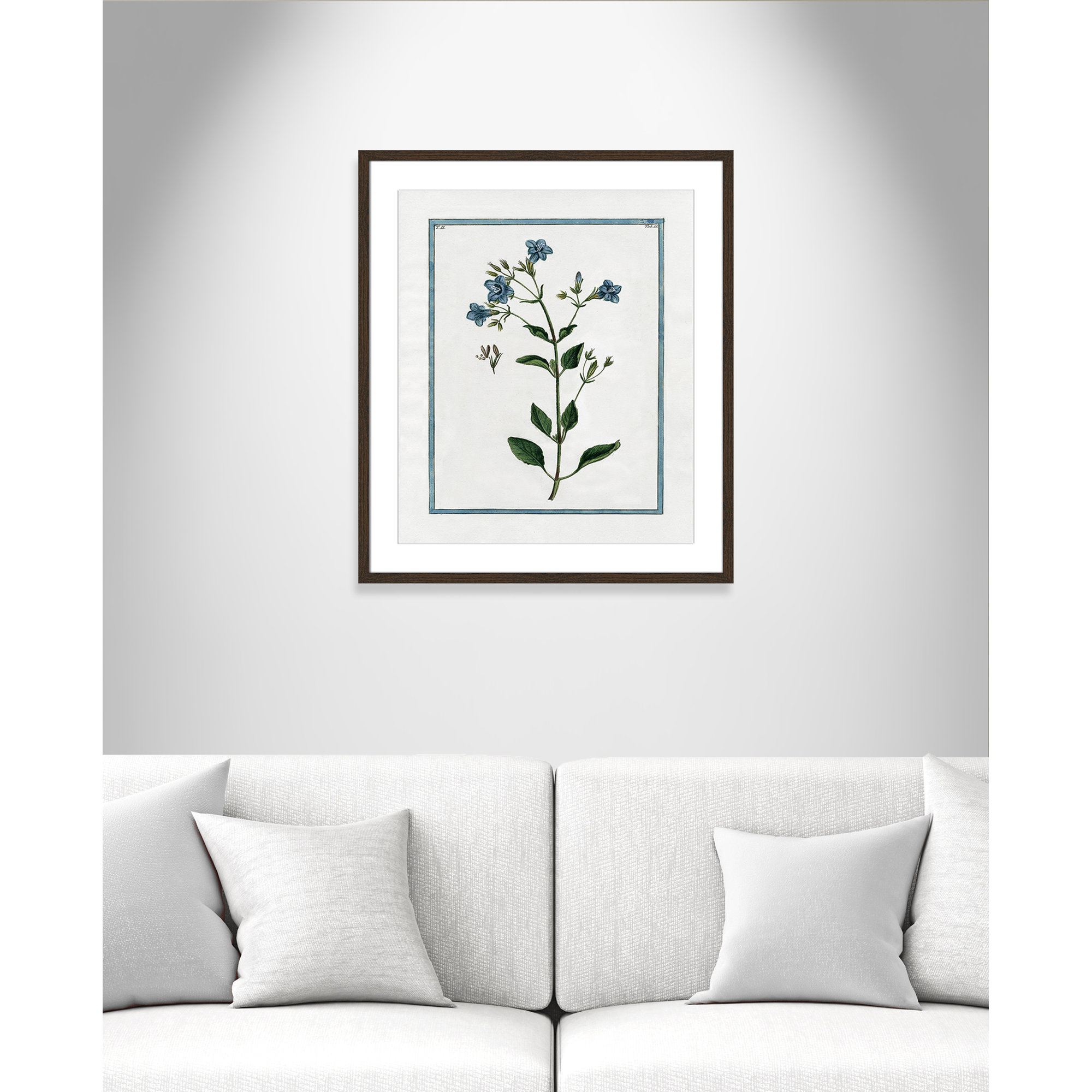 Shabby Elegance Botanical II - Framed Art, 21.5" W x 25.5" H, Walnut Framed