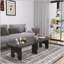 Ensemble de tables basses Modern Modern