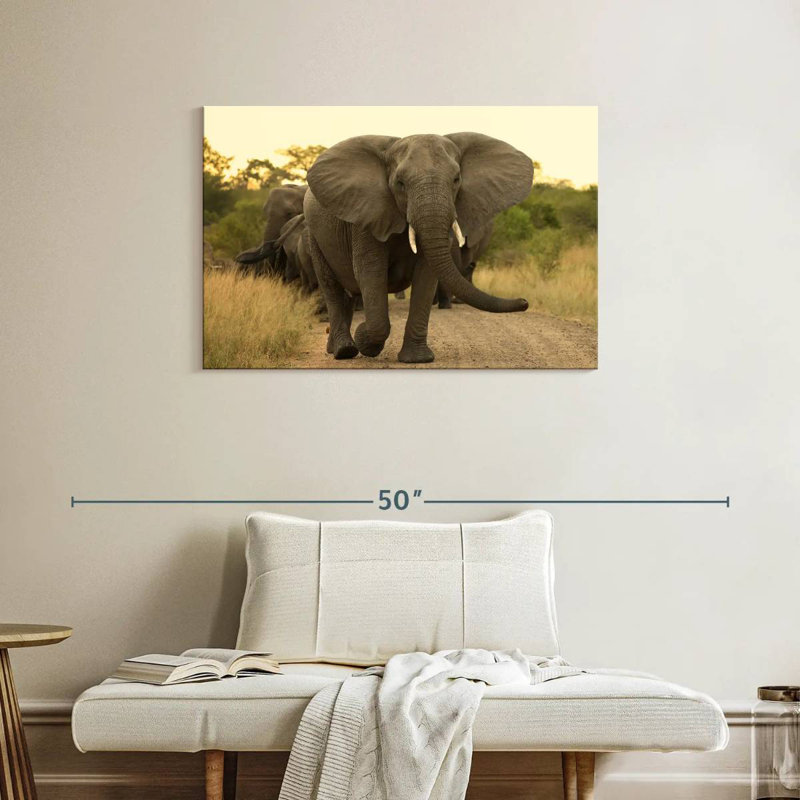 Brampt The Elephant Walk