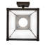 Rustic Lodge 1 - Light Armed Sconce