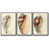Black is out of stock