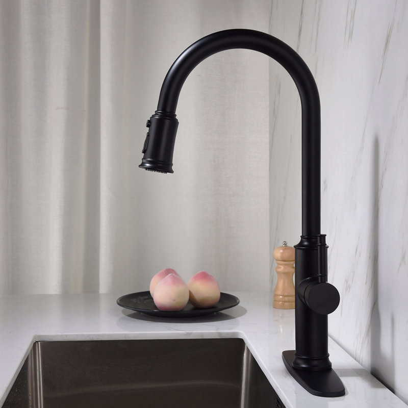 Kitchen Faucet With Pull-Out Sprayer, Matte Black