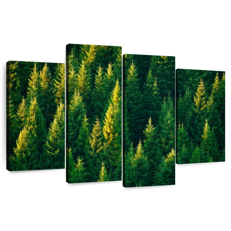 Pin de la forêt Harnek, H 48 po x l 75 po