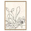 Sedum Giclee Print by Susan Hable