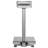 Gymax General Scale